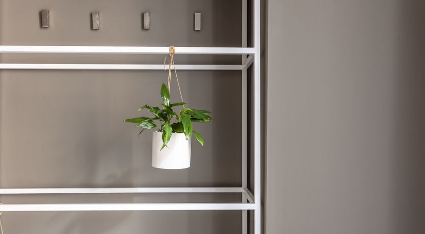 Photo of Tessellations