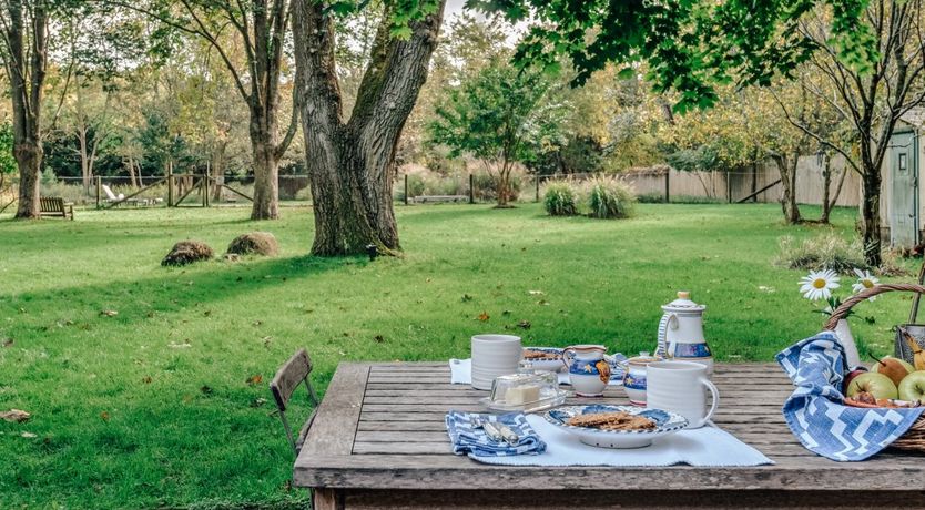 Photo of Sunflowers & Wisteria