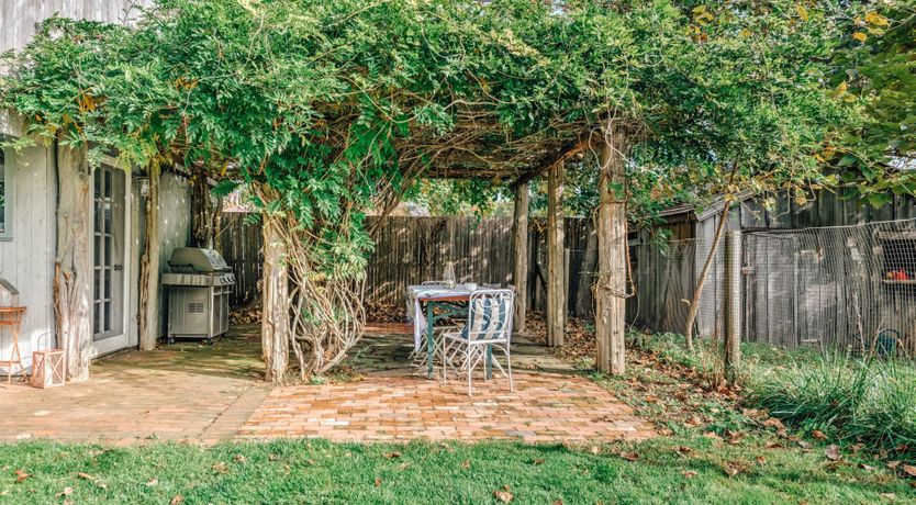 Photo of Sunflowers & Wisteria