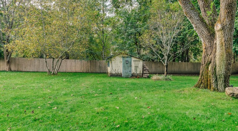 Photo of Sunflowers & Wisteria