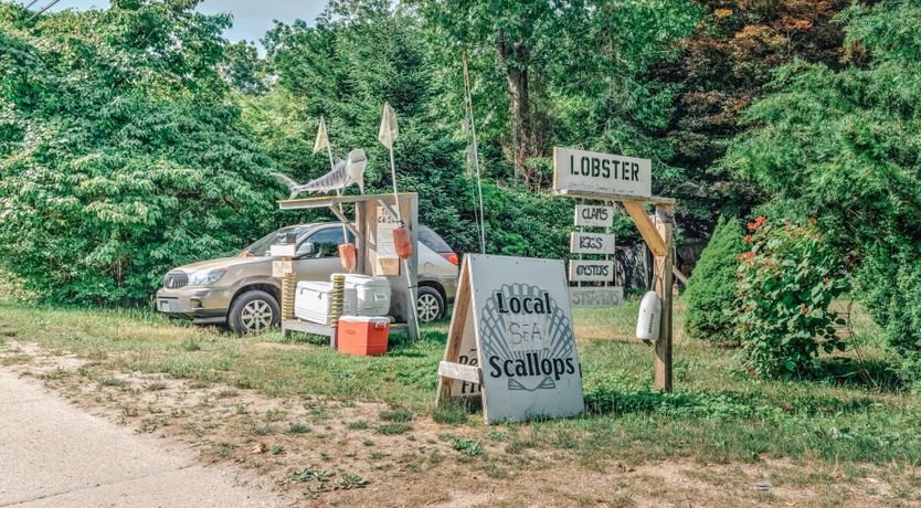Photo of Sunflowers & Wisteria