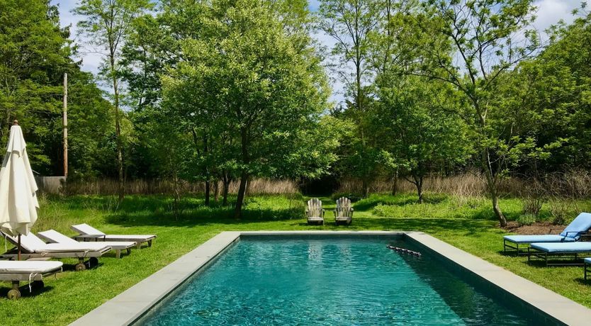 Photo of Sunflowers & Wisteria