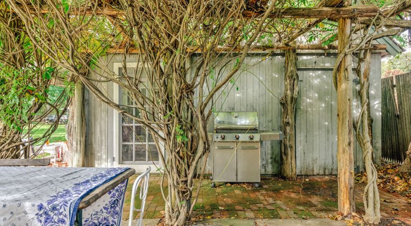 Photo of Sunflowers & Wisteria