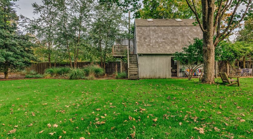 Photo of Sunflowers & Wisteria