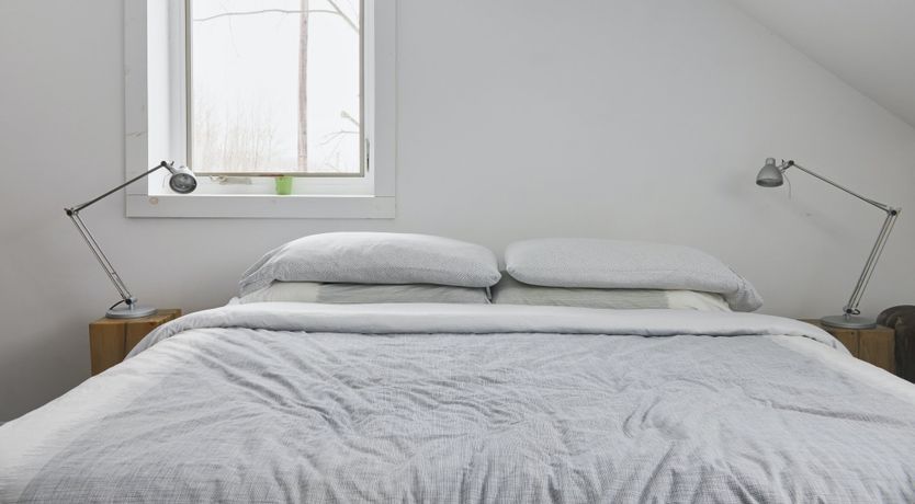 Photo of Old Macdonald