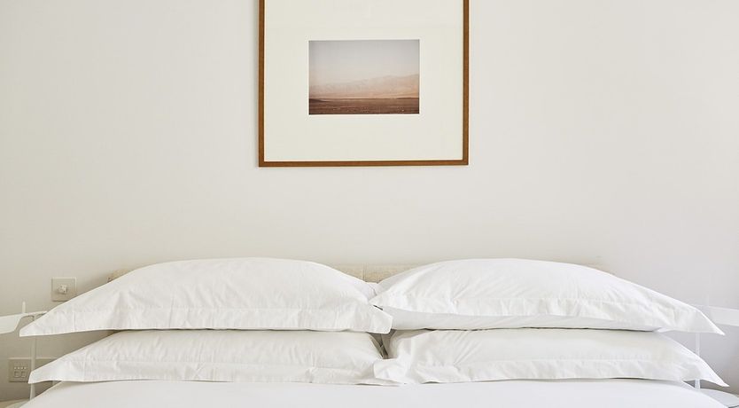 Photo of Follow the Night