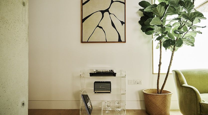 Photo of Follow the Night