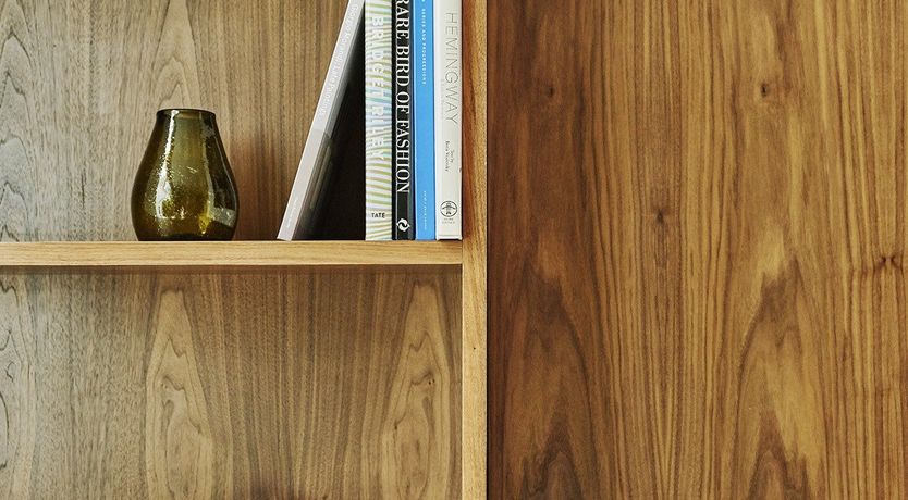 Photo of Follow the Night