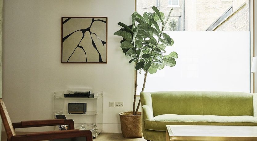 Photo of Follow the Night