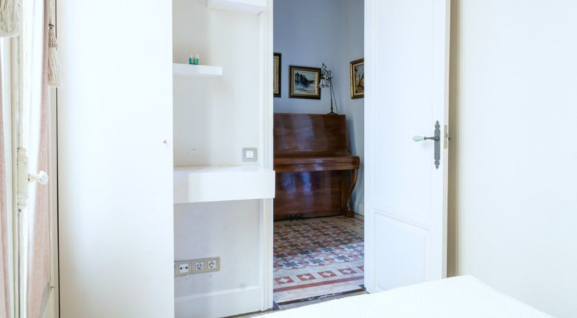 Photo of The City Orchid