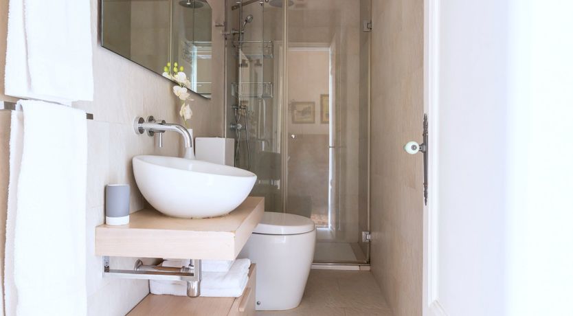 Photo of The City Orchid