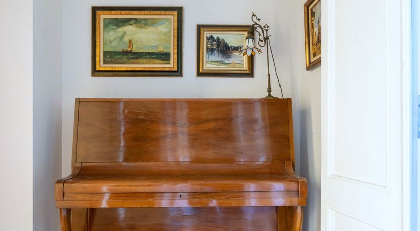 Photo of The City Orchid