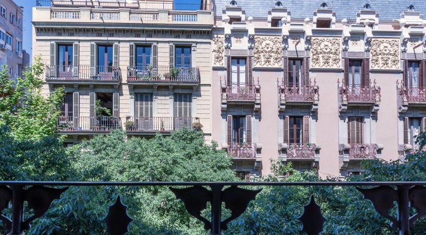 Photo of The City Orchid