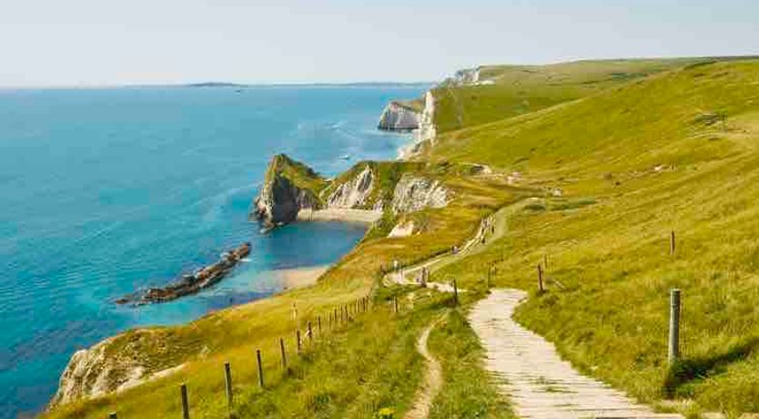 Photo of Grazing In The Grass