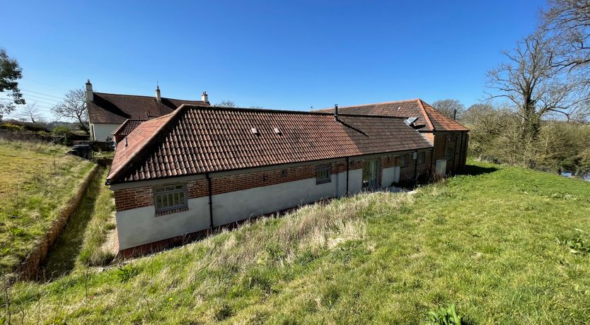 Photo of Grazing In The Grass