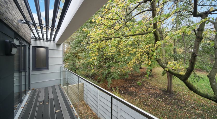 Photo of Rustling Leaves