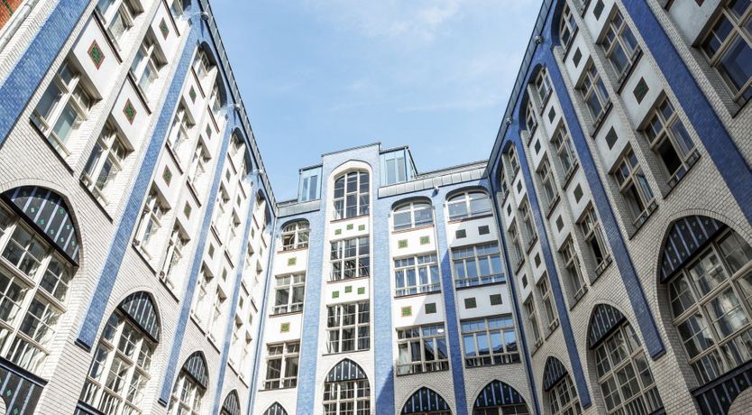 Photo of Mademoiselle Butterfly