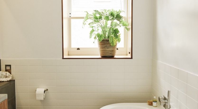 Photo of Follow the Sun