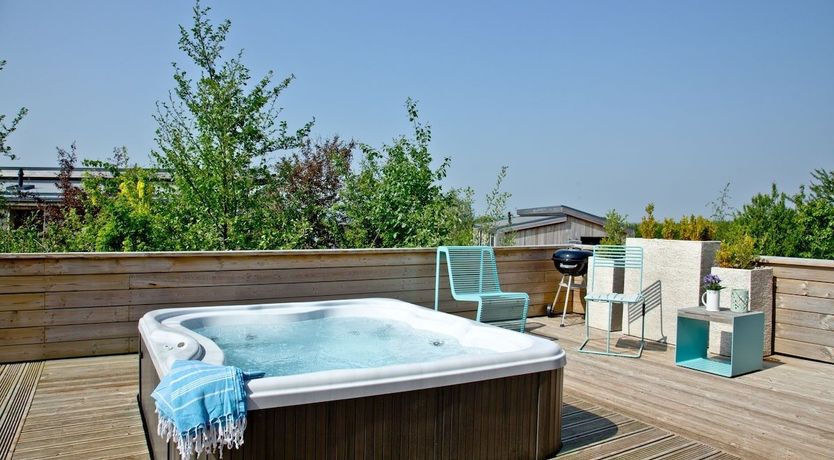 Photo of Ginger Meadow