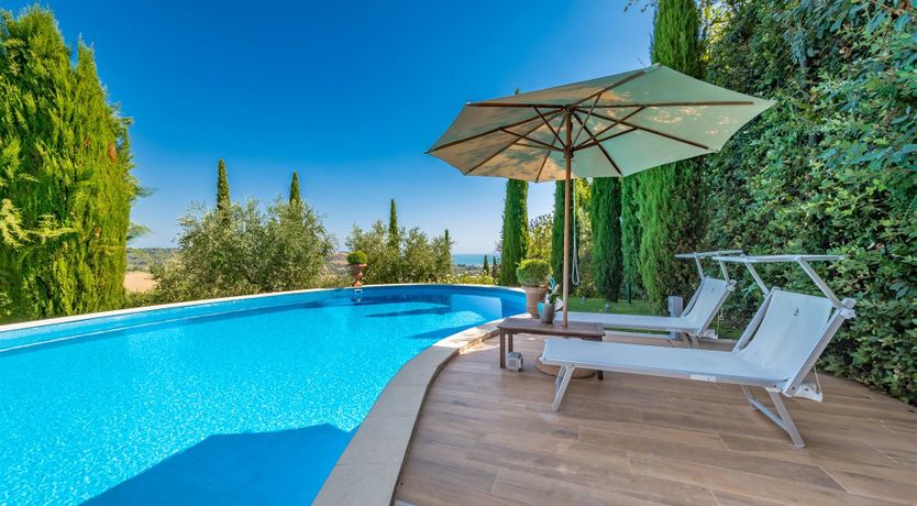 Photo of Phoenix Rising