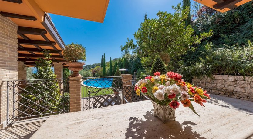 Photo of Phoenix Rising