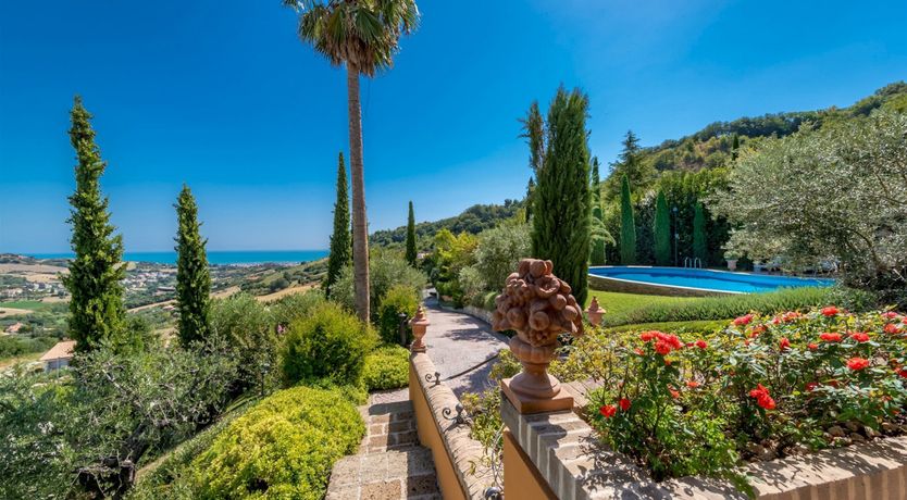 Photo of Phoenix Rising