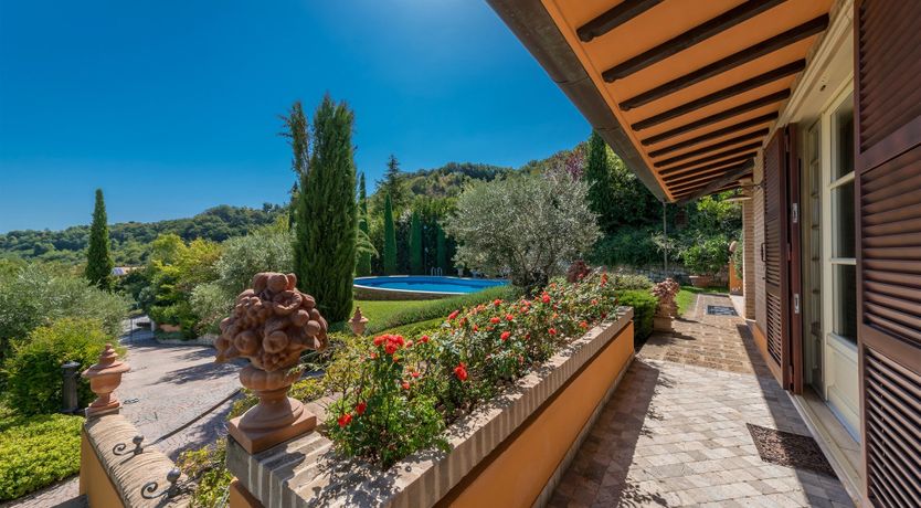 Photo of Phoenix Rising