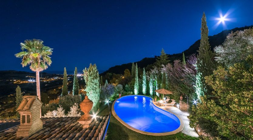 Photo of Phoenix Rising