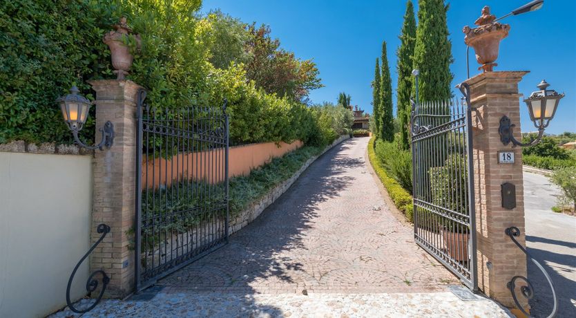 Photo of Phoenix Rising