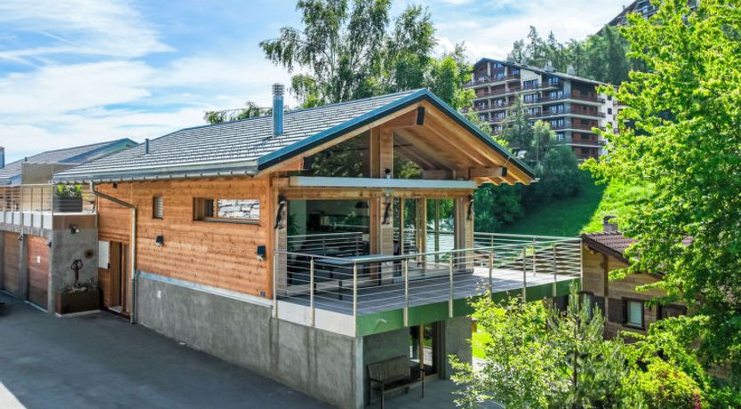 Photo of Les penguins