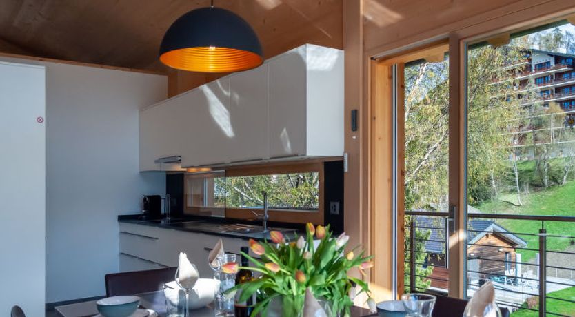 Photo of Les penguins