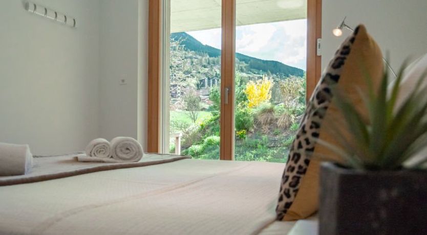 Photo of Les penguins