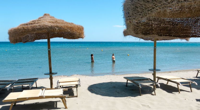 Photo of Ville Corallo (PCR185)