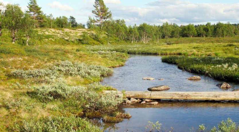 Photo of Storsätern Dyllen