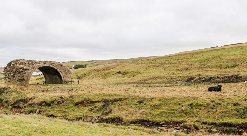 Photo of Bolt's View