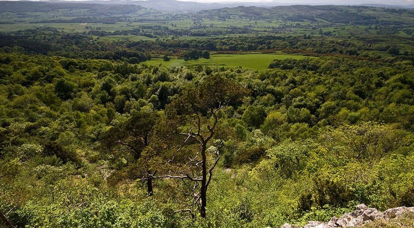 Photo of Tipsy Gin Cottage