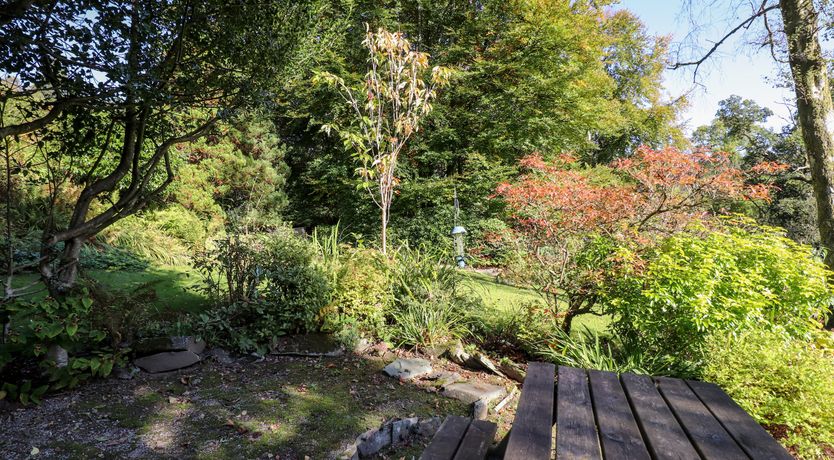 Photo of The Mounting Steps