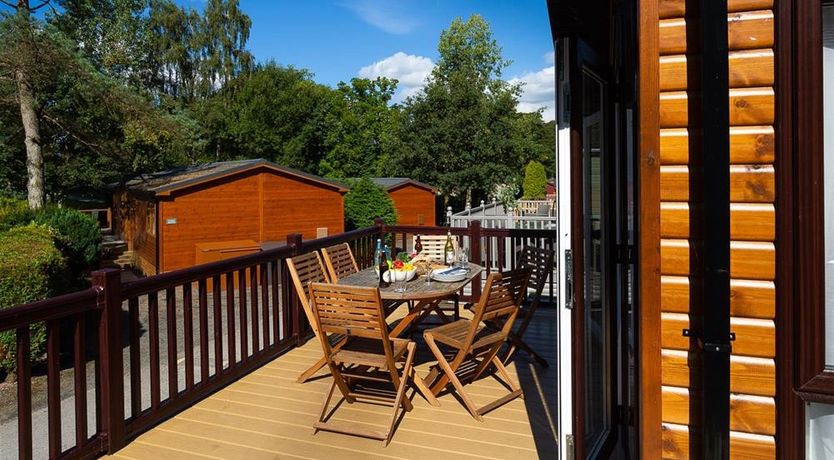 Photo of Lancashire Rose