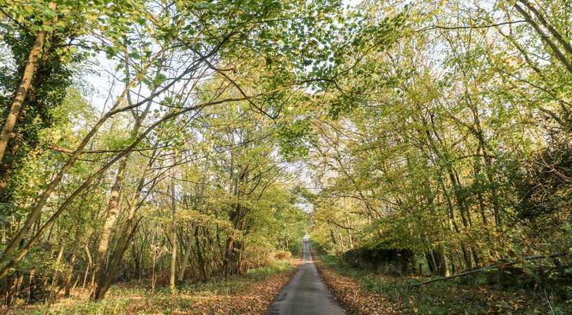 Photo of Sunny Cottage