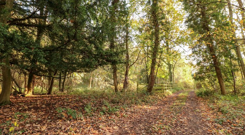 Photo of Sunny Cottage