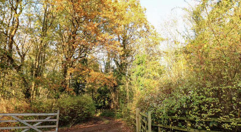 Photo of Sunny Cottage