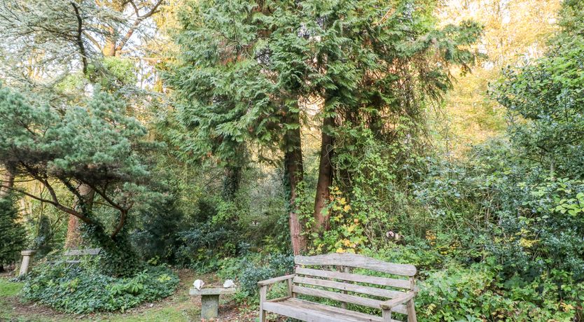 Photo of Sunny Cottage