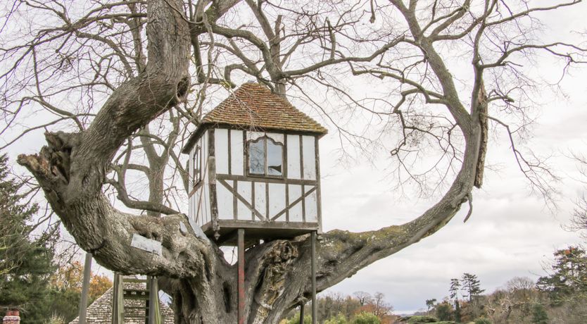 Photo of Tree House Barn