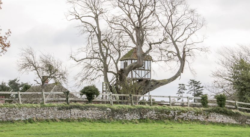 Photo of Tree House Barn