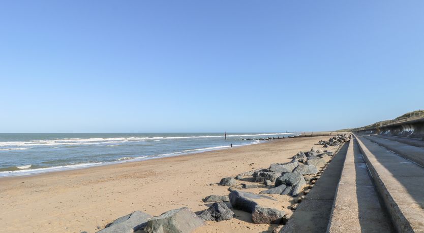 Photo of Mermaid's Purse