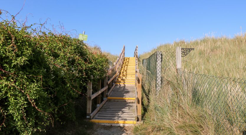 Photo of Mermaid's Purse