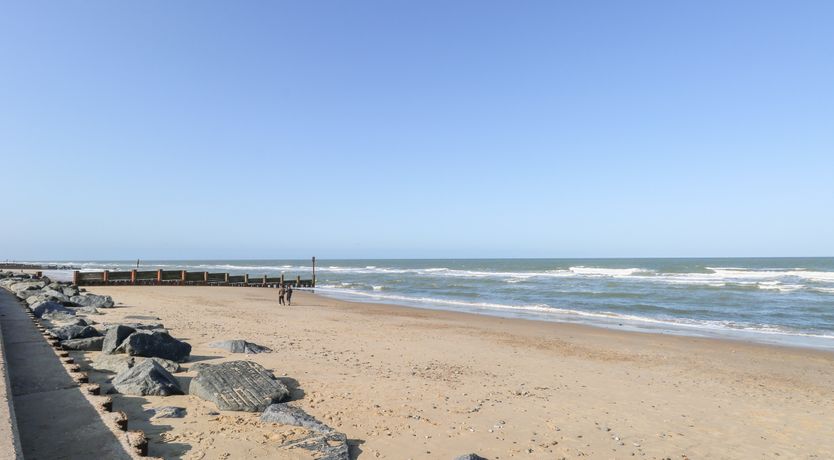 Photo of Mermaid's Purse