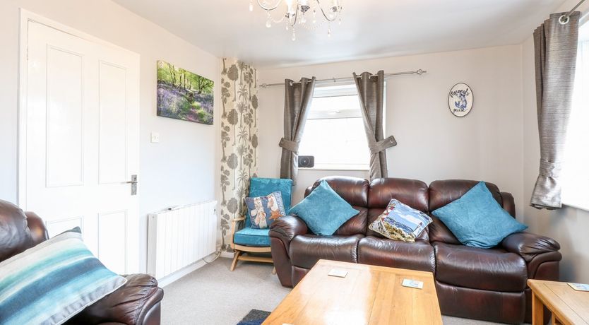 Photo of Mermaid's Purse