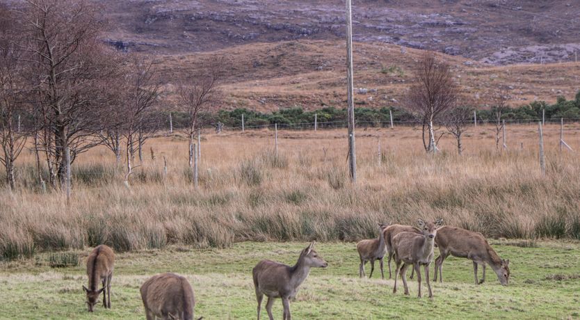 Photo of Stalker's Cottage - Torridon
