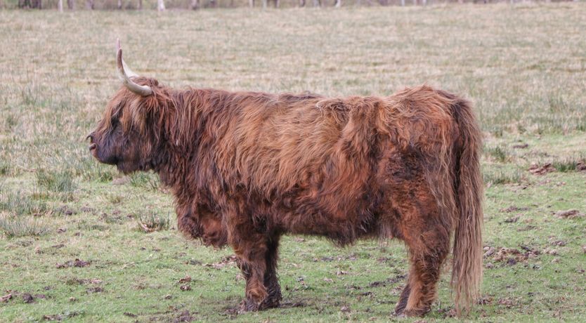 Photo of Stalker's Cottage - Torridon